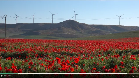 scenery-approved-video